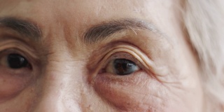 白发苍苍的亚洲老年女性(80岁)用眼睛直视镜头，近距离观察脸部和眼睛，脸上布满皱纹，洋溢着享受退休生活的快乐。