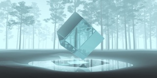 抽象旋转透明立方体在松林。