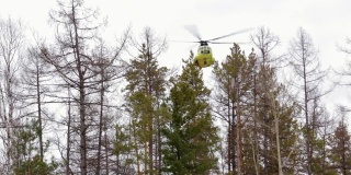 一架旧的俄罗斯(苏联)MI-8直升机在西伯利亚针叶林上空低空飞行。