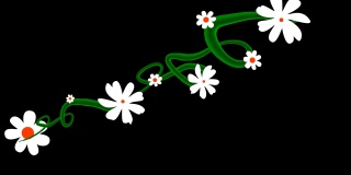 一株藤蔓生长着美丽的白色花朵的卡通载体。已经被键入，很容易添加到您的项目