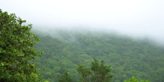 从印度古吉拉特邦的山下看，覆盖萨普塔拉山脉的云朵。云覆盖了山顶。自然背景。