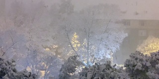 大雪