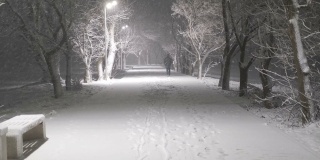 一个人在冬日的夜晚穿过公园走向远方