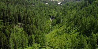 阳光明媚的夏日，从松树林的瀑布中飞出。奥地利蒂罗尔