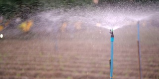 农业用水喷水器在菜地灌溉农田