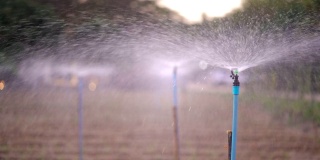 农业用水喷水器在菜地灌溉农田