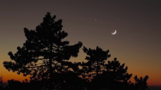 树木的轮廓，星星和月亮在鲜艳的天空中。视频素材模板下载