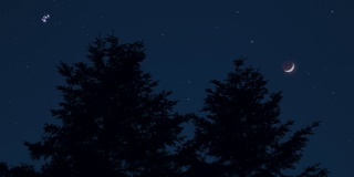 树木的轮廓，星星和月亮在鲜艳的天空中。