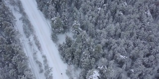 从无人机鸟瞰积雪覆盖的冬季松树林。松树的树枝上结满了霜