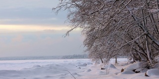 美丽的冬季景观与白雪皑皑的田野和树枝在白霜在日落霜冻的一天