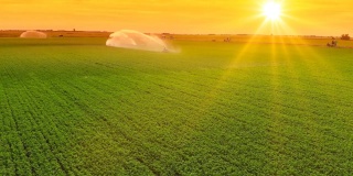 鸟瞰图灌溉系统在日落灌溉农田