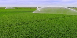 鸟瞰图灌溉系统灌溉农田