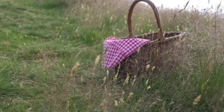 复古野餐篮和红色格子布毯子拍摄在农村的田野