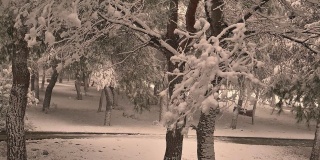公园里下雪的黑白视频。