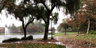 公园里的一个下雨天