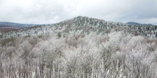 冬天在山上，雪覆盖的松树林，冰封的森林，鸟瞰雪山和山景，雪山的山峰，雪山的松树，