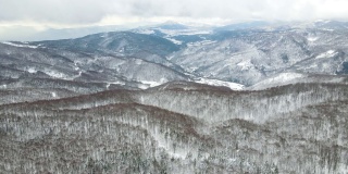 冬天在山上，雪覆盖的松树林，冰封的森林，鸟瞰雪山和山景，雪山的山峰，雪山的松树，