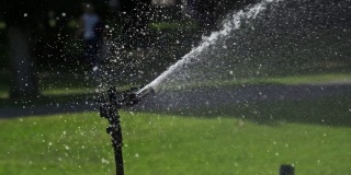 绿色花园中的自动草坪洒水器，用慢动作浇灌草坪