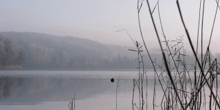 瑞士的一个小湖——埃斯基湖