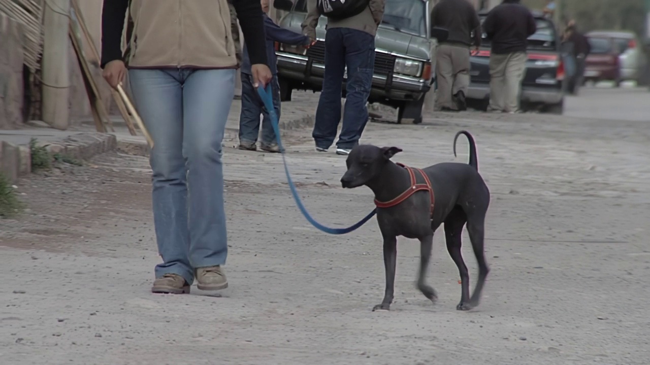 阿根廷胡胡伊省蒂尔卡拉的土路上，一只快乐的狗和主人一起散步。