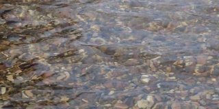 清澈的水和彩色的石头在海底或湖里