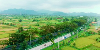 在印尼巴厘岛的阿米德，鸟瞰绿色的田野、绿色的大米和汽车行驶的道路