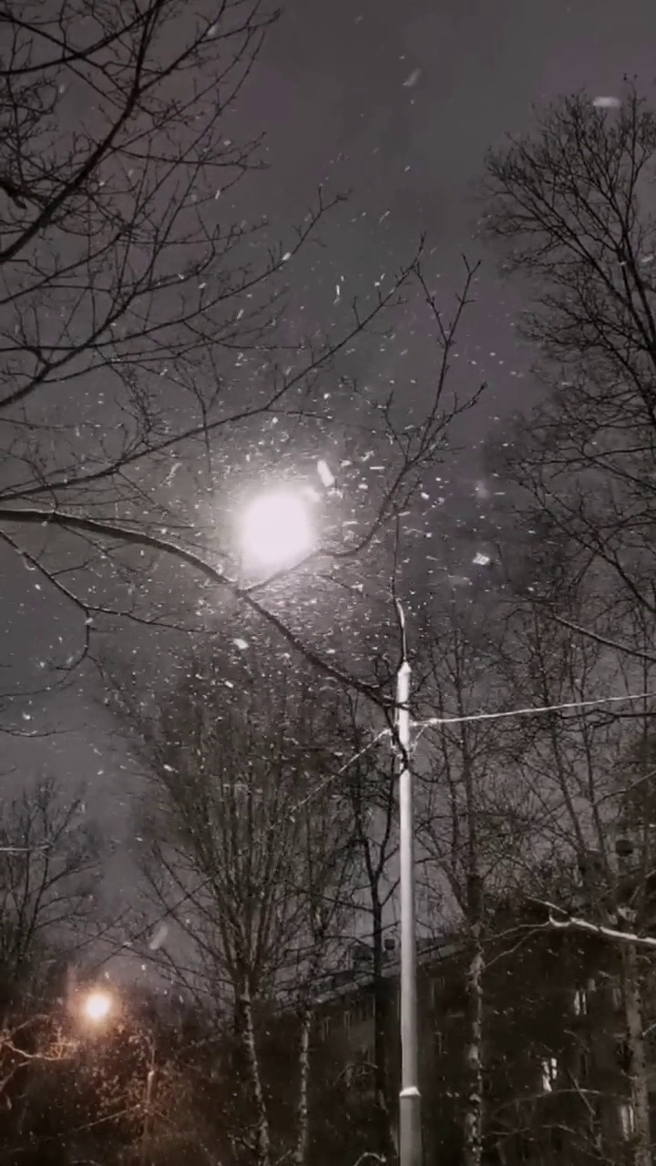 大雪花在路灯的灯光下慢慢地飞了起来。