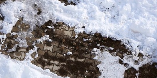 麻雀，冬熊和麻雀在冬天的雪地里寻找食物，