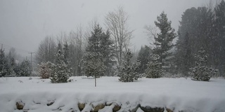 加拿大乡村的降雪日