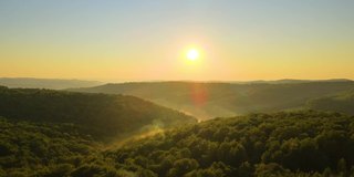 在明亮的夏日夕阳下，黑暗的树林上充满了生机勃勃的雾霭。黄昏时分野生森林的奇妙景色