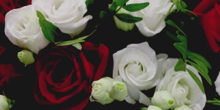 一束新鲜的白玫瑰的特写镜头