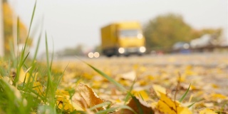 汽车经过黄色的树叶。慢动作