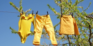风和日丽的一天，在湛蓝的天空和梅花的枝头上，洗过的黄色婴儿衣服挂在晾衣绳上，在风中晒干。