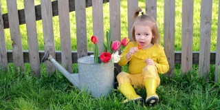穿着胶靴的女婴坐在旧木栅栏旁，旁边是一束春天的郁金香，她正在甜甜地吃着棒棒糖。