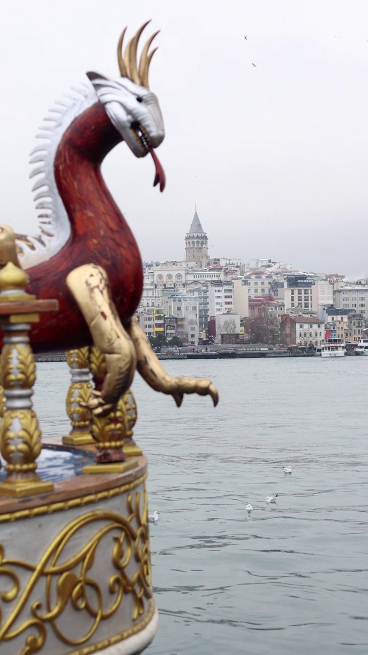 加拉塔和伊斯坦布尔城市景观与旅游船漂浮在博斯普鲁斯，龙图案船艉，龙图案船，小船在伊诺努广场和加拉塔