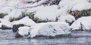 河流或小溪或水流，在冬天有石头和白色的雪帽。大雪纷飞，大雪纷飞