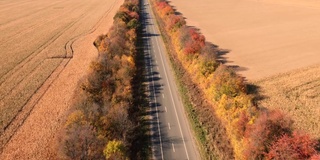 道路沿着五彩缤纷的秋树穿过田野。汽车在路上行驶。无人机鸟瞰图