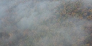 高空鸟瞰图，在雾飞的森林上空。雾云低低地飞在秋天的森林上。