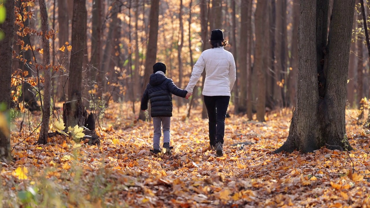 魁北克秋天的森林里母子漫步