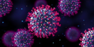 冠状病毒细胞。新菌株