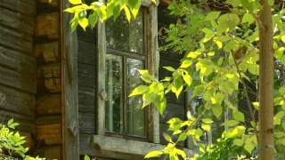 一个废弃的俄罗斯村庄的旧小屋视频素材模板下载