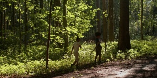 接触大自然对孩子们有好处。孩子们在森林里玩耍。