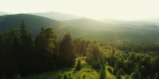 潘留下了明亮的阳光照耀在绿色的山丘和树木在夏天在乌克兰喀尔巴阡