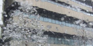 日本。1月。城市里下雪了。