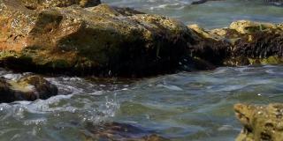 9 .慢镜头中，海浪拍打着黑海的石滩