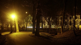 人们在晚上借着灯笼在公园里散步。间隔拍摄视频素材模板下载