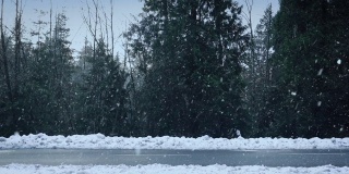 车辆在下雪的森林道路上通行