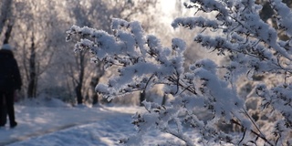 冬天的场景，令人惊叹的冰冻的自然，人们在雪中行走在美好的冬日。