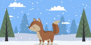 狐狸在雪景冬季