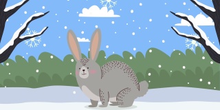 兔子在冬季雪景季节